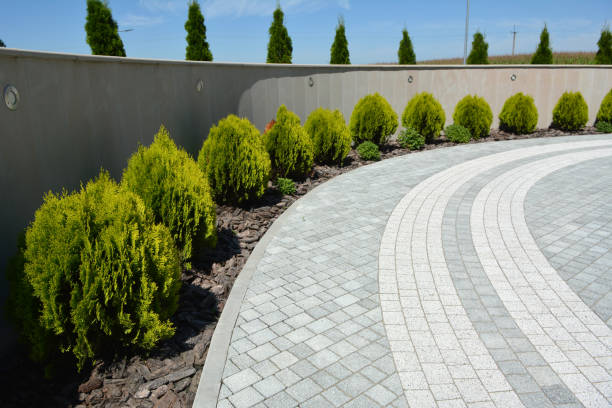 Best Driveway Pavers Near Me  in Neoga, IL